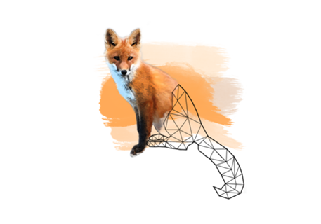 Watercolor Fox