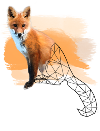 Watercolor Fox
