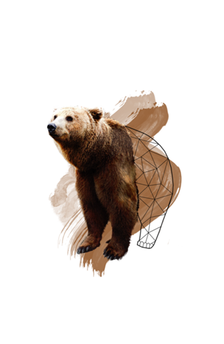 Watercolor Bear