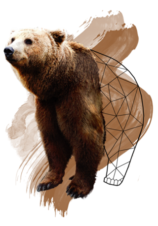 Watercolor Bear