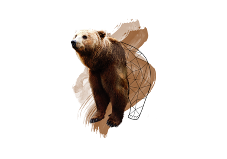 Watercolor Bear