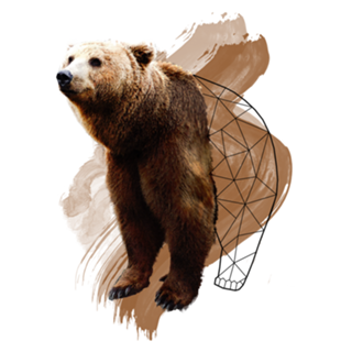 Watercolor Bear