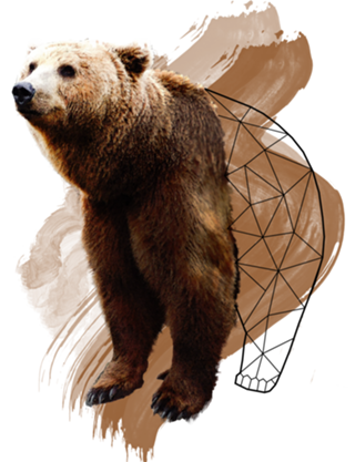 Watercolor Bear