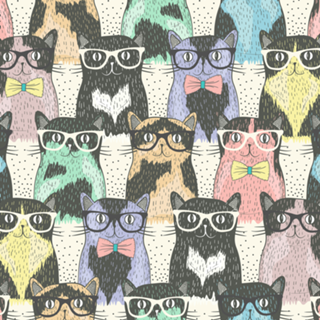 Gatos Coloridos