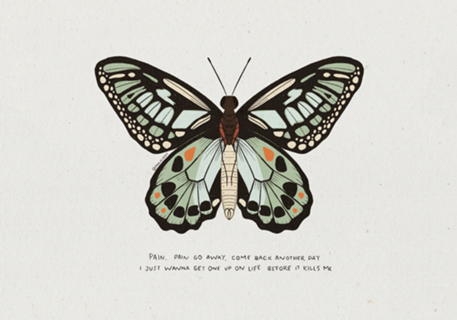 Borboleta pain, pain