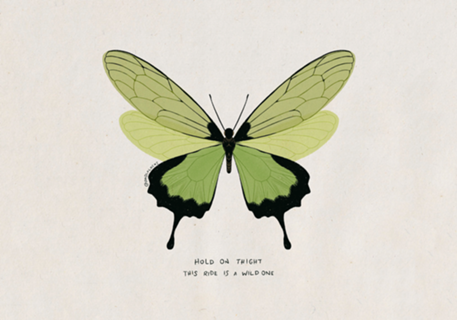 Borboleta hold on
