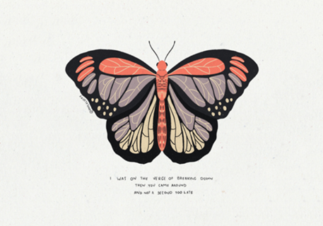 Borboleta breaking down