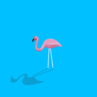 Mr. Flamingo