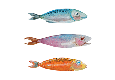 Peixitchos
