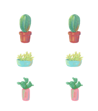 Cactolitos