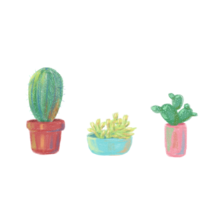 Cactolitos