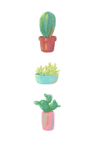 Cactolitos