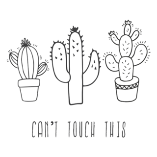 Can't Touch This