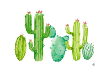Cactos