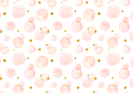 Bolotas