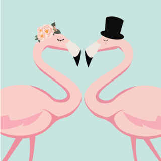 Flamingos Love