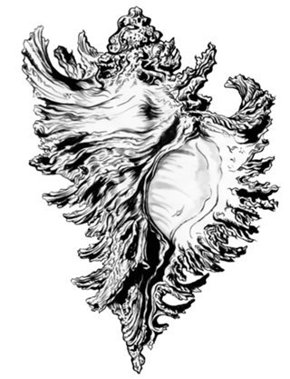 Shell NANQUIM