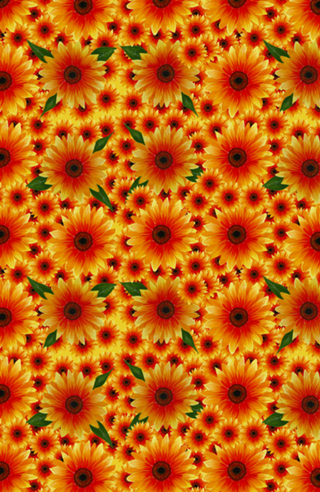 Flores