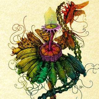 Amargarida