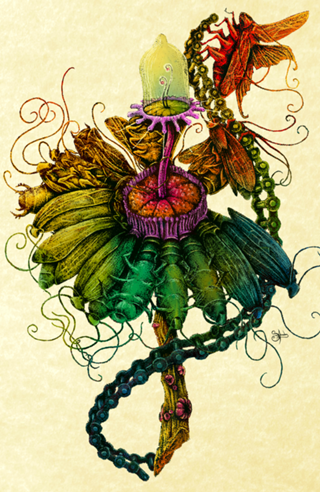 Amargarida