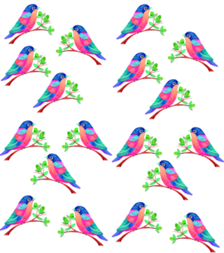 Color Bird