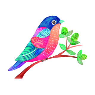 Color Bird