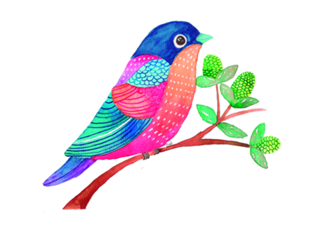 Color Bird