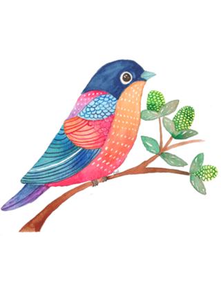 Color Bird