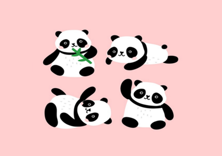 Vida de Panda