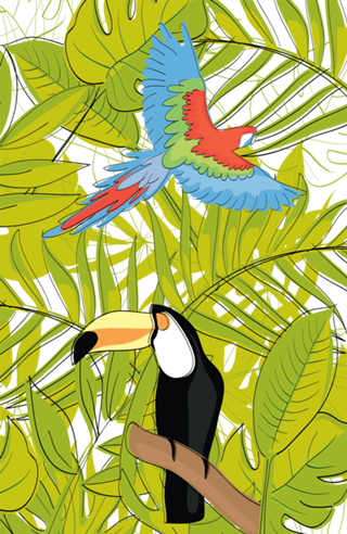 Floresta Tropical