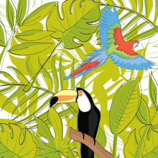 Floresta Tropical