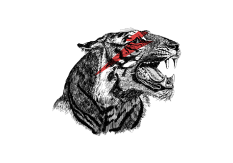 Eye Of The Tiger
