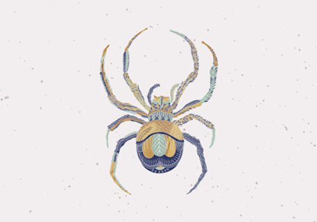 Aranha II