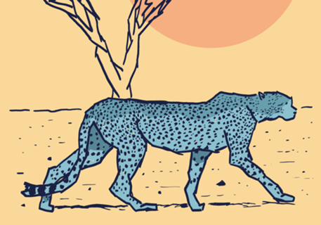 Cheetah