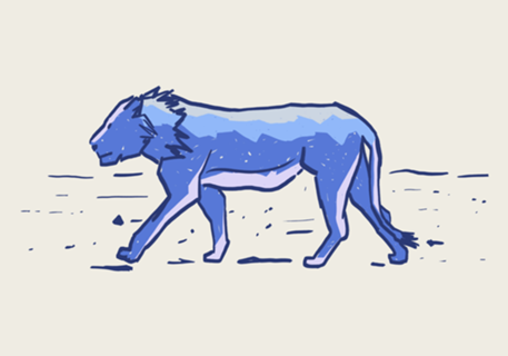 Lioness