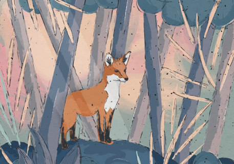 Little Fox