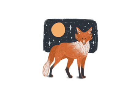 Night Fox