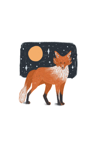 Night Fox