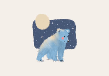 Midnight Bear