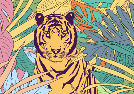 Tigre