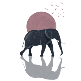 Elefante