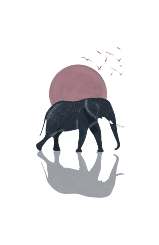 Elefante