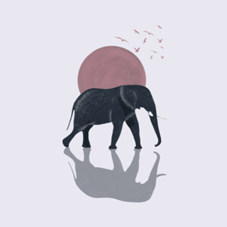 Elefante