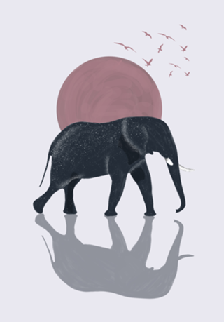 Elefante