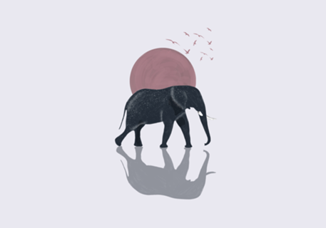 Elefante