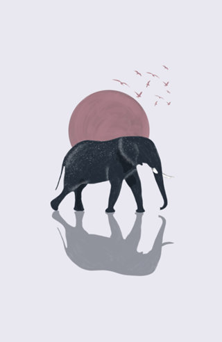 Elefante