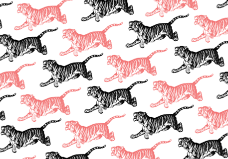 Tigre 3
