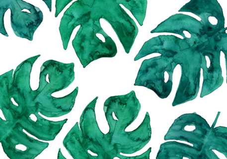 Folhas Aquarela II