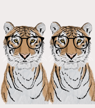 Tigre De Óculos
