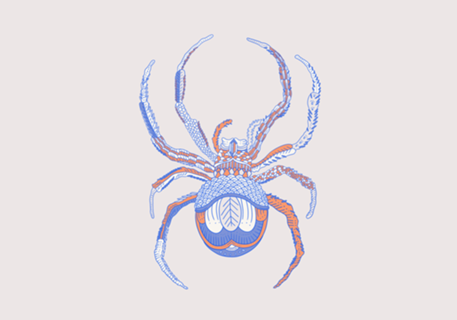Aranha